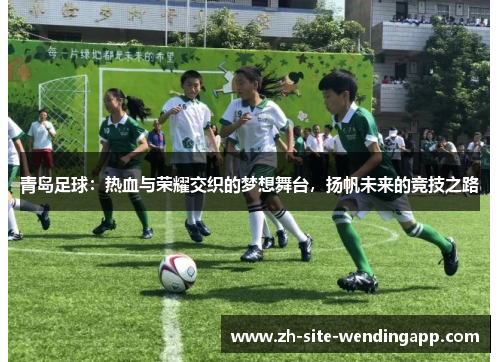 青岛足球：热血与荣耀交织的梦想舞台，扬帆未来的竞技之路