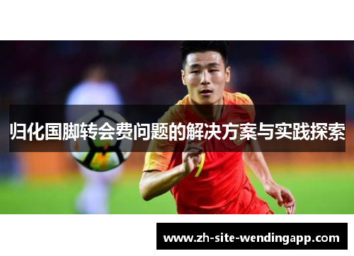 归化国脚转会费问题的解决方案与实践探索 归化国脚转会费问题的解决方案与实践探索