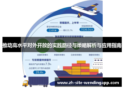 推动高水平对外开放的实践路径与策略解析与应用指南 推动高水平对外开放的实践路径与策略解析与应用指南