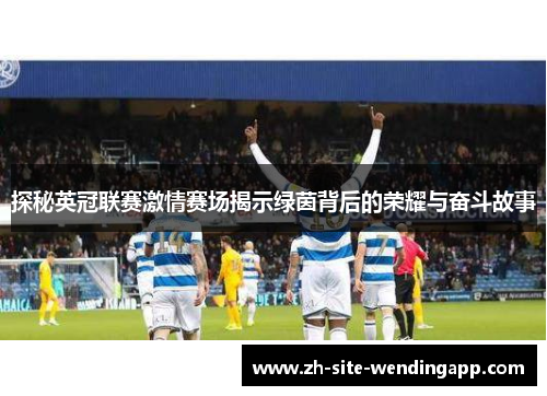探秘英冠联赛激情赛场揭示绿茵背后的荣耀与奋斗故事