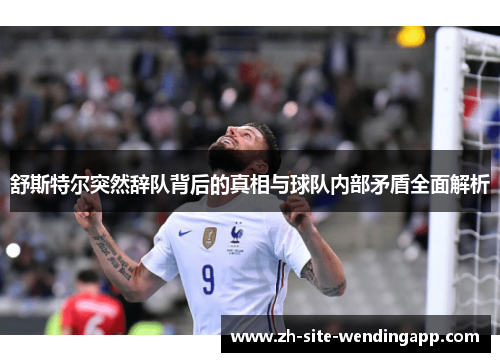 舒斯特尔突然辞队背后的真相与球队内部矛盾全面解析 舒斯特尔突然辞队背后的真相与球队内部矛盾全面解析