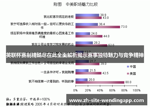 英联杯赛制精髓尽在此全面解析揭示赛事独特魅力与竞争精神 英联杯赛制精髓尽在此全面解析揭示赛事独特魅力与竞争精神