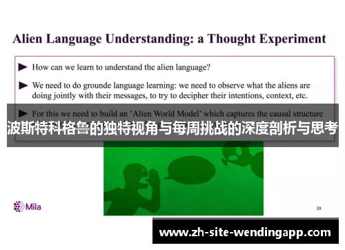 波斯特科格鲁的独特视角与每周挑战的深度剖析与思考