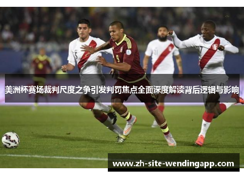 美洲杯赛场裁判尺度之争引发判罚焦点全面深度解读背后逻辑与影响