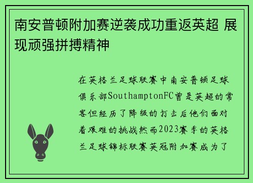 南安普顿附加赛逆袭成功重返英超 展现顽强拼搏精神