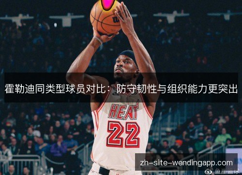 霍勒迪同类型球员对比：防守韧性与组织能力更突出