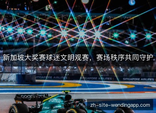 新加坡大奖赛球迷文明观赛,赛场秩序共同守护 新加坡大奖赛球迷文明观赛,赛场秩序共同守护